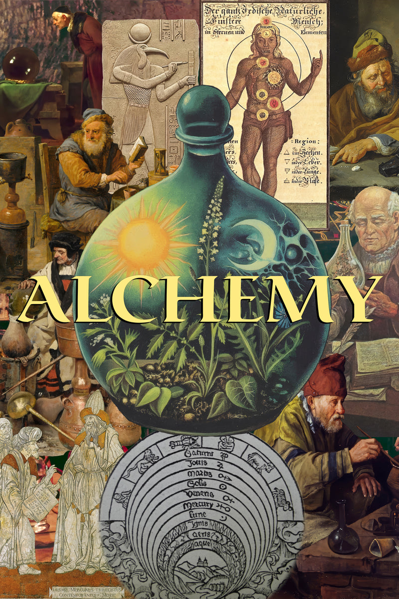 ALCHEMY Print Baelei P ALCHEMY Print Baelei P